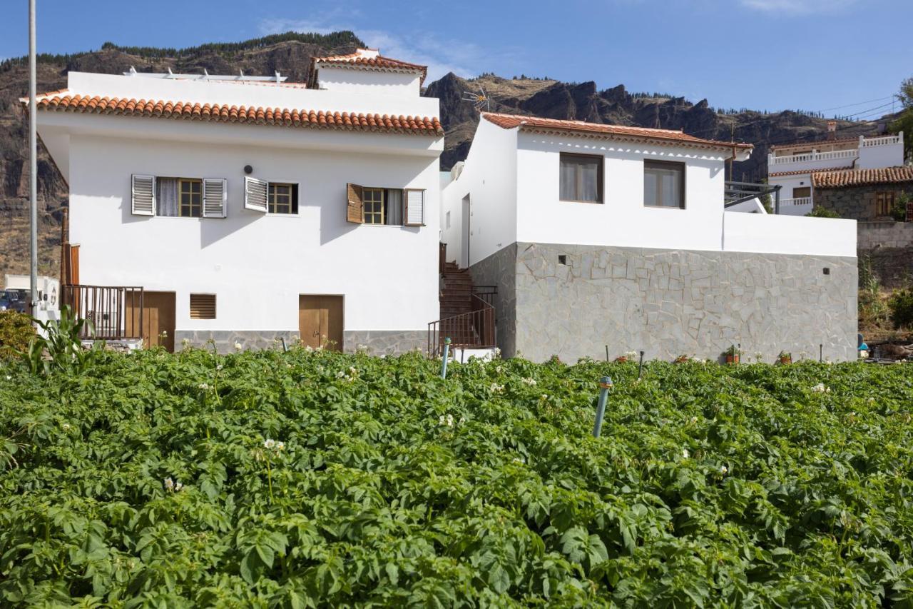 Apartamento Casa Maria with Roque Nublo view Tejeda  Exterior foto